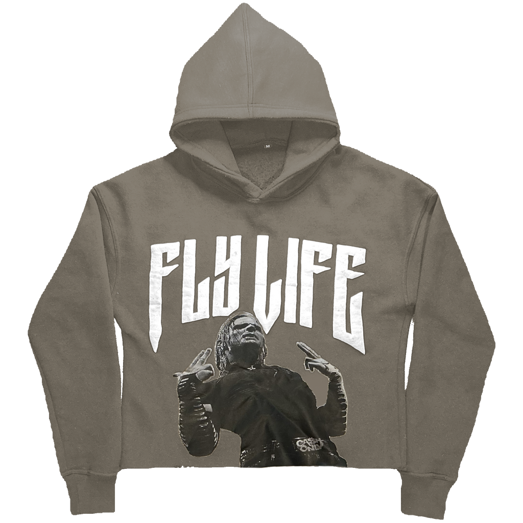 Grey FlyLife Hoodie